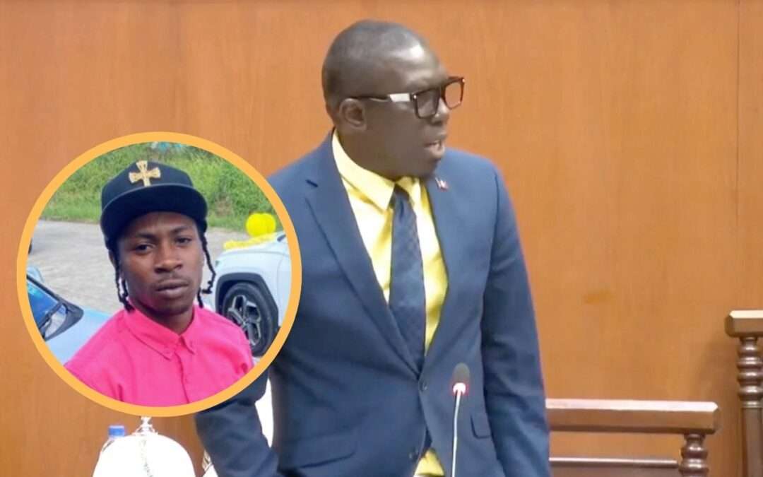 WATCH: Pringle Calls on Attorney General to Address Fatal Shooting of Bolans Teen