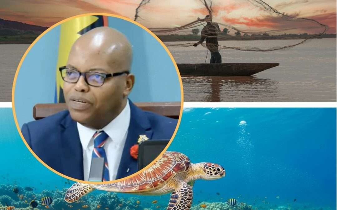 PLH Shares New Steps in Support of Antigua and Barbuda