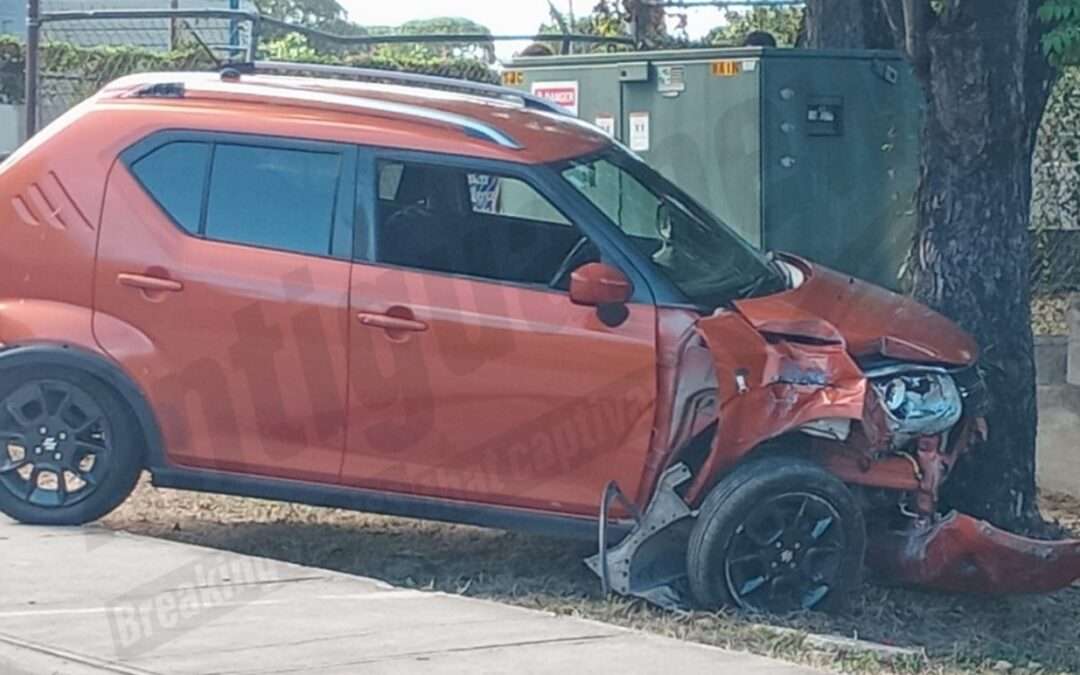 Suzuki Ignis Crashes into Tree on Friars Hill Road; Driver Unhurt
