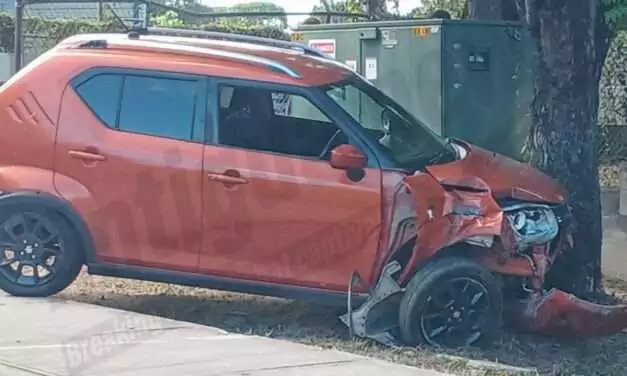 Suzuki Ignis Crashes into Tree on Friars Hill Road; Driver Unhurt