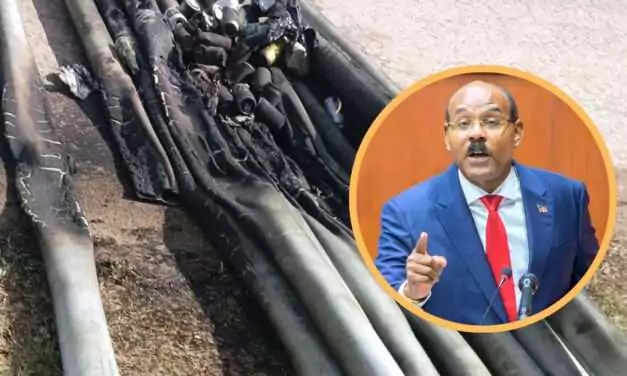 PM Browne Offers Reward for Information Leading to Arrest of Arson Suspects