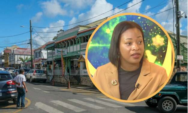 Major clean up expected for St John’s City area