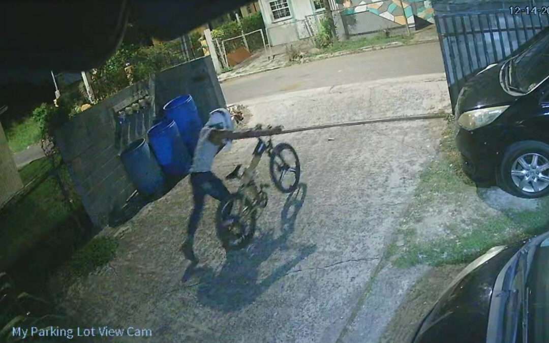 WATCH: Electric Bike Stolen in Martin’s Village
