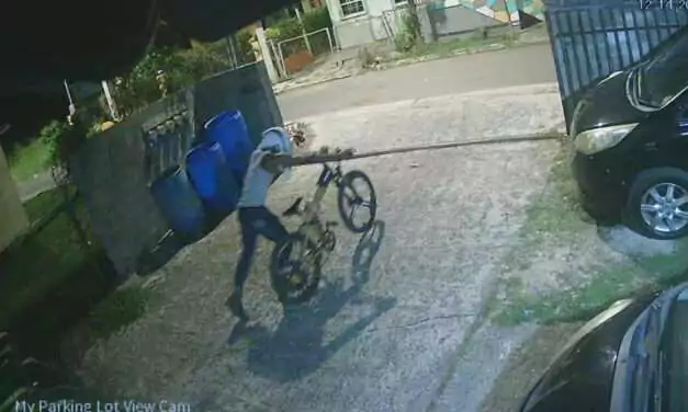 WATCH: Electric Bike Stolen in Martin’s Village