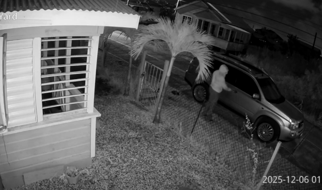 VIDEO: Safety Concerns Raised After Vehicle Stolen Using Apparent Duplicate Key