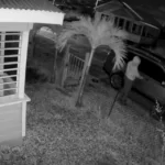 Video Sparks Safety Concerns After Vehicle Stolen Using Suspected Duplicate Key