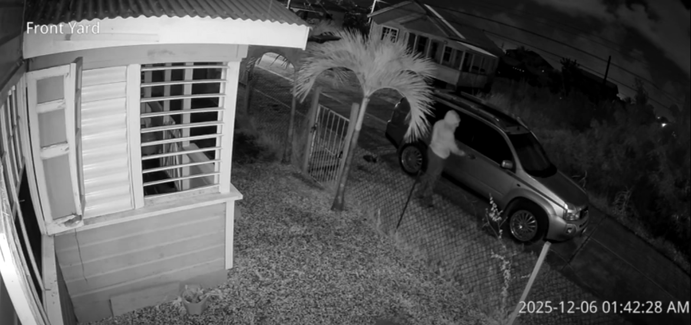 Video Sparks Safety Concerns After Vehicle Stolen Using Suspected Duplicate Key