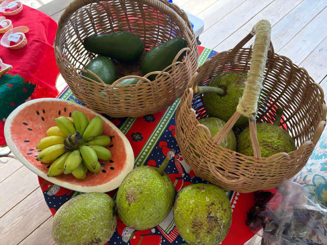 Governor-General Attends Annual Horticultural Society Fair and Flower Show
