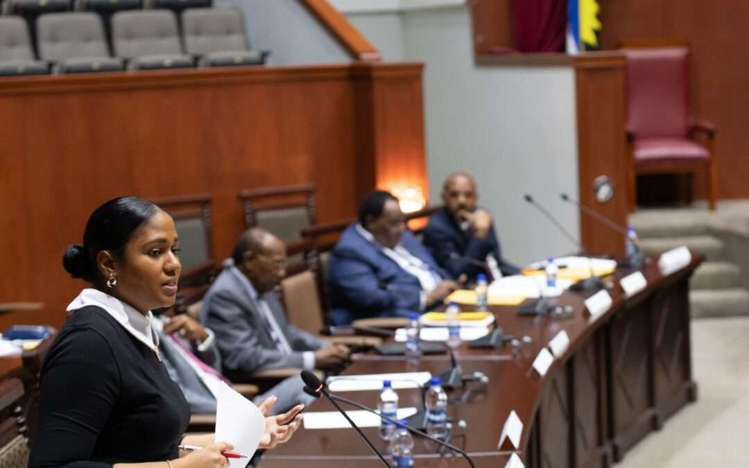 Government Unveils New Low-Income Housing Models to Close Gap for Struggling Families