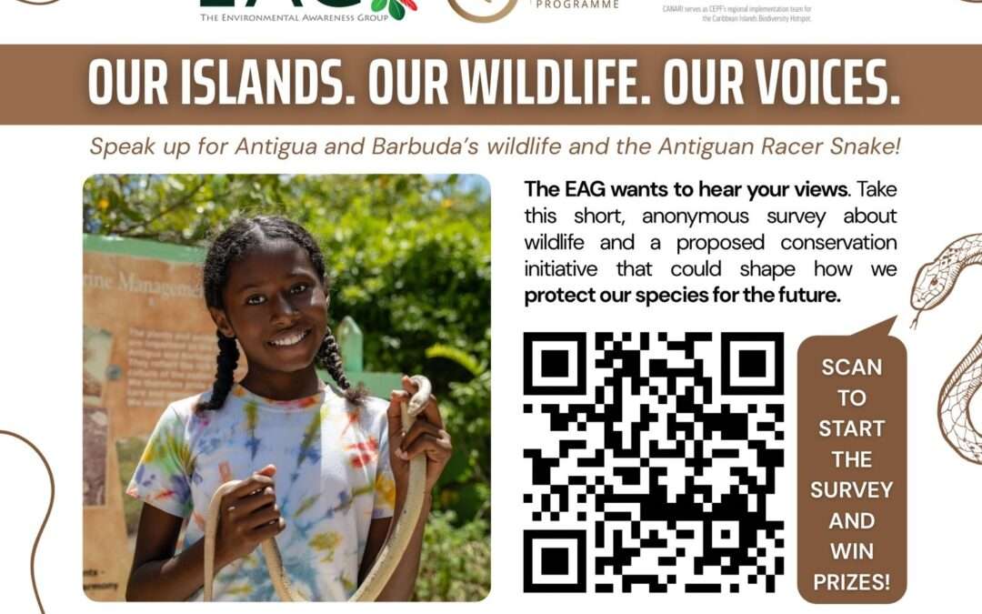 EAG Launches National Survey on Wildlife and Antiguan Racer Conservation