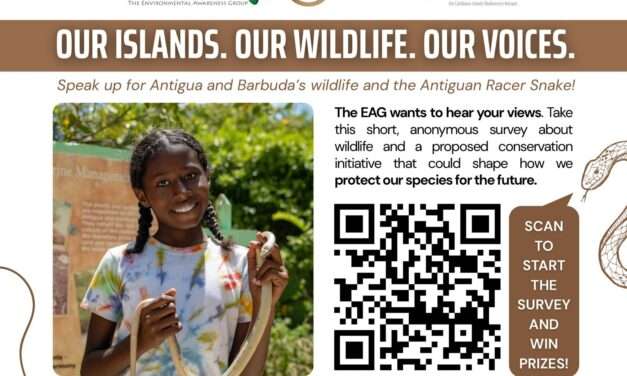 EAG Launches National Survey on Wildlife and Antiguan Racer Conservation