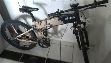 WATCH: Electric Bike Stolen in Martin’s Village
