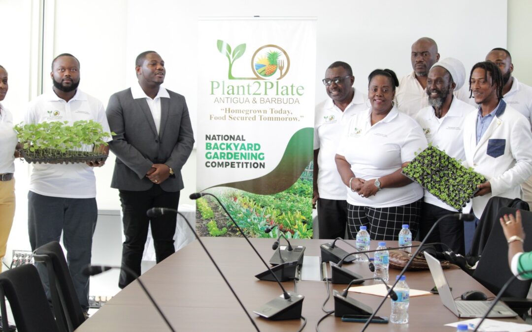 Government Launches Backyard Gardening Competition Under Plant2Plate Initiative
