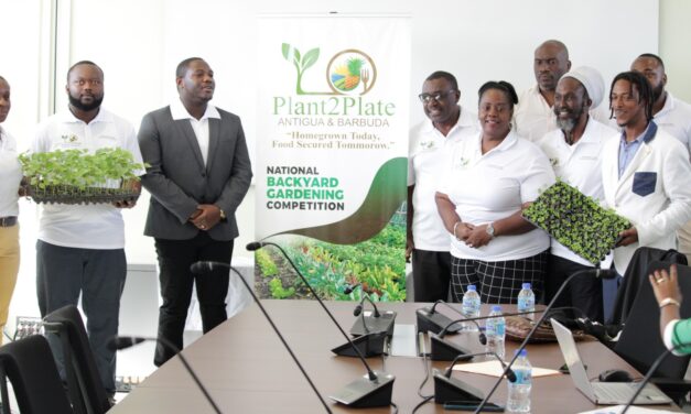 Government Launches Backyard Gardening Competition Under Plant2Plate Initiative