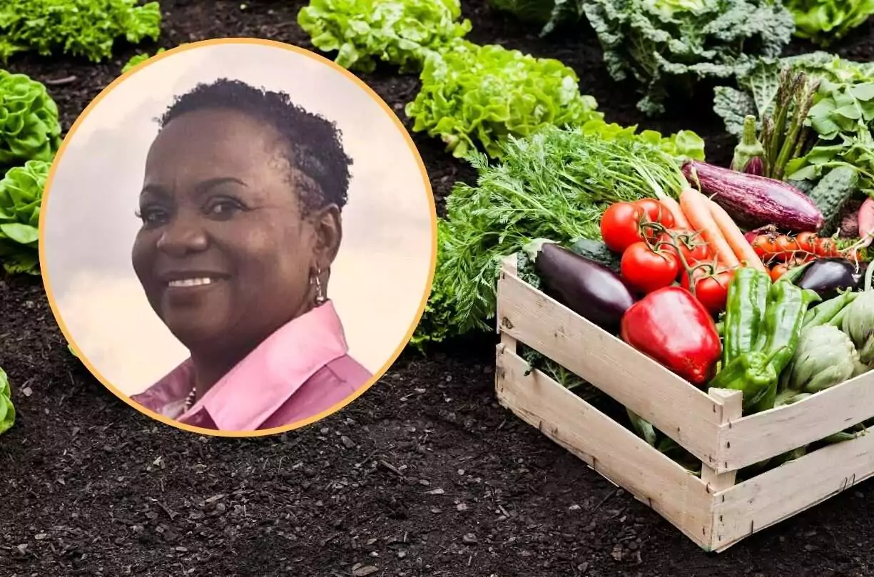 New Agriculture School to begin operations next month