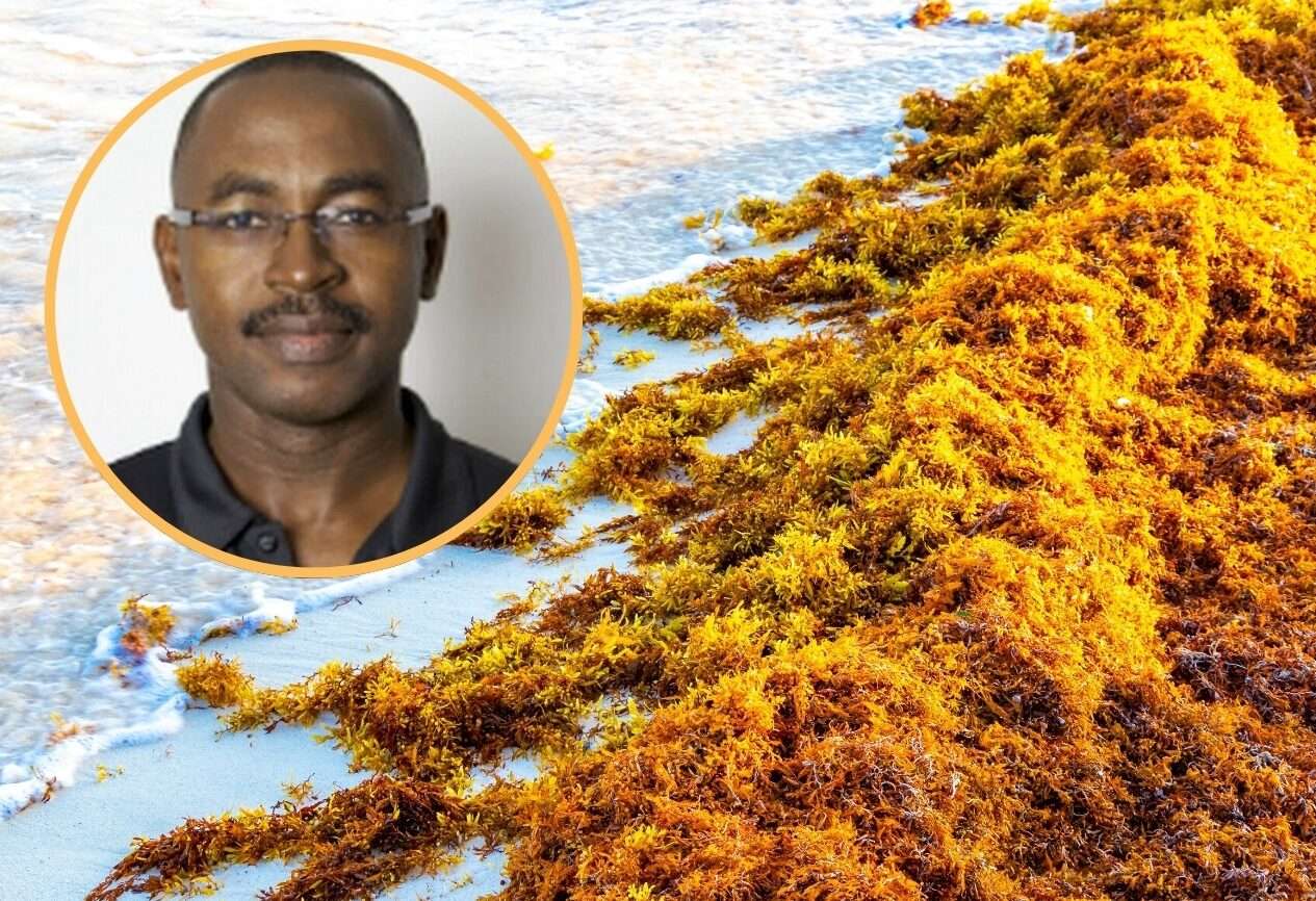 Gradual Increase in Sargassum Expected Across Region Through Early April 2026 – Climatologist