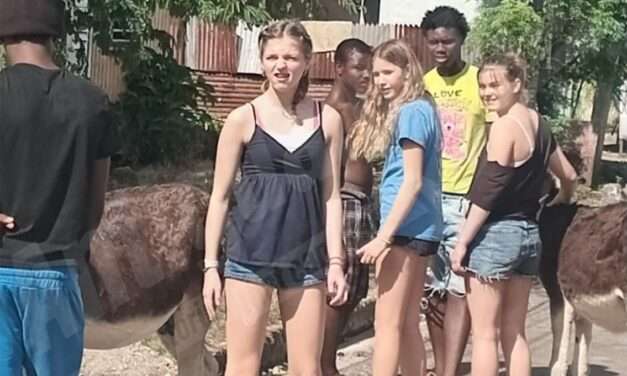 WATCH: Grays Farm Donkeys Steal the Show in Unplanned Tourist Encounter