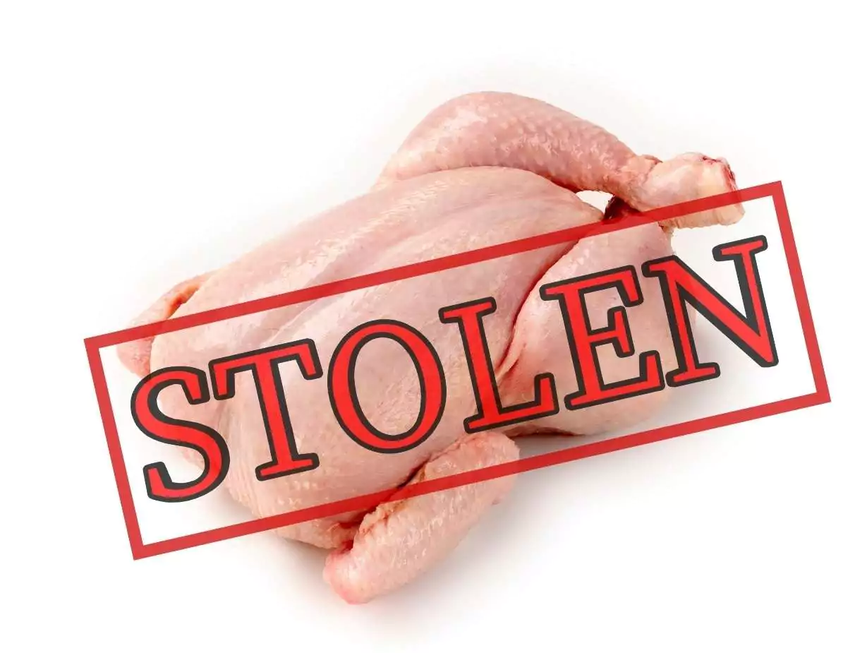Health Officials Warn Public: Stolen Chicken May Be Circulating