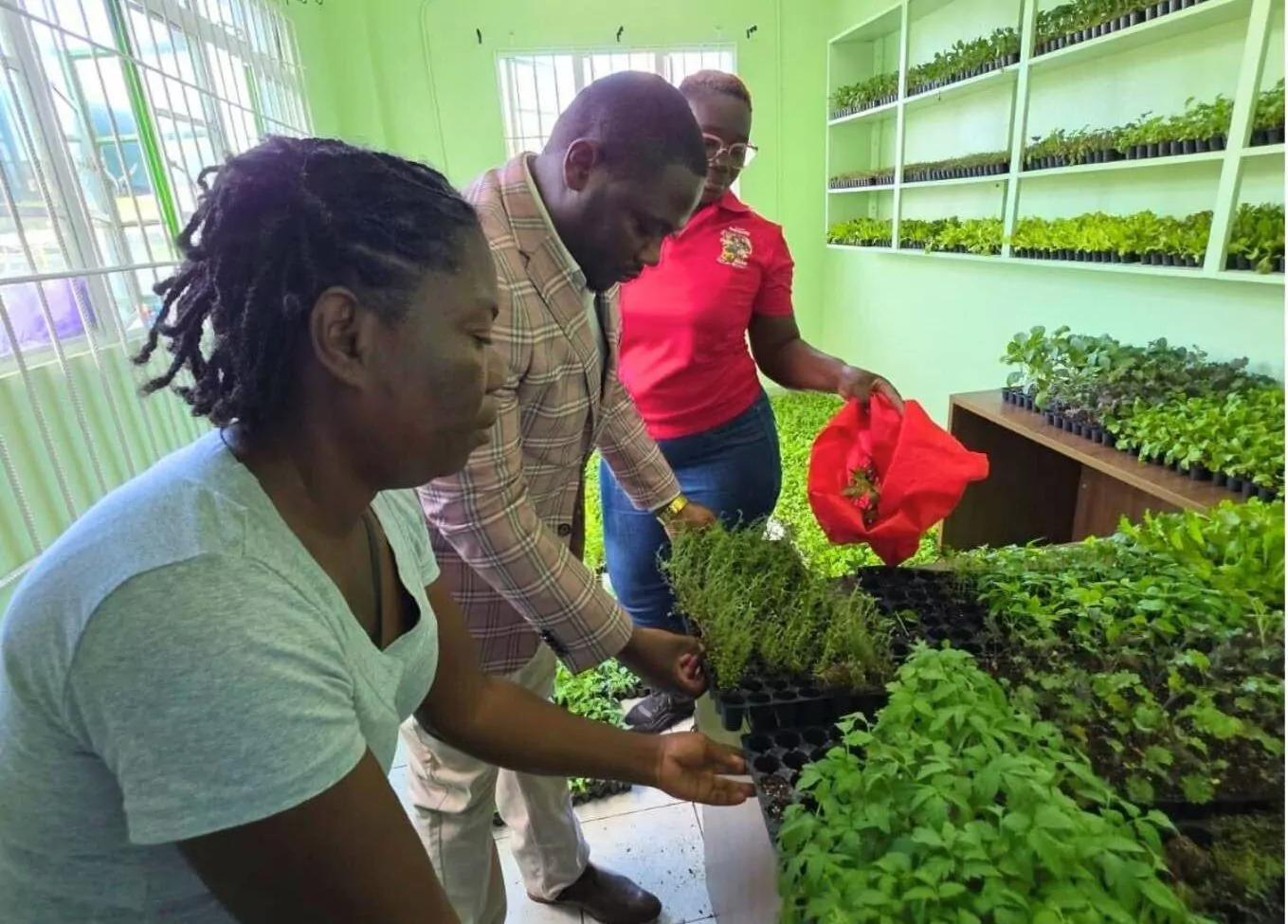 Ministry of Agriculture Launches 20,000-Seedling Distribution Under Plant 2 Plate Initiative