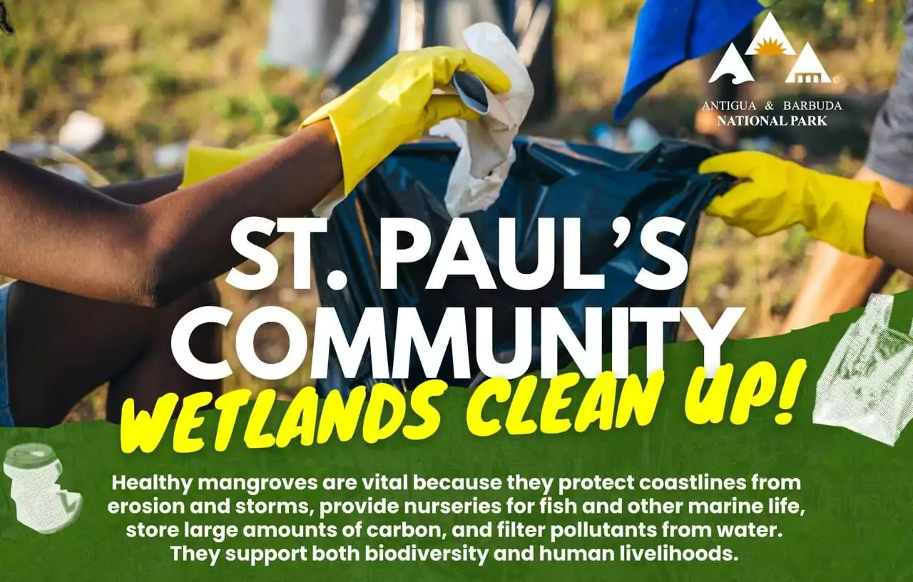 St. Paul Residents Invited to Join Crab Hole Wetland Cleanup Later Today Under