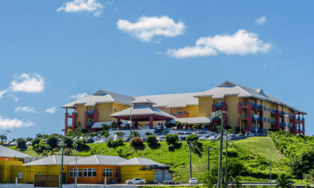 LETTER: They Moved Mountains to Save My Wife’s Life