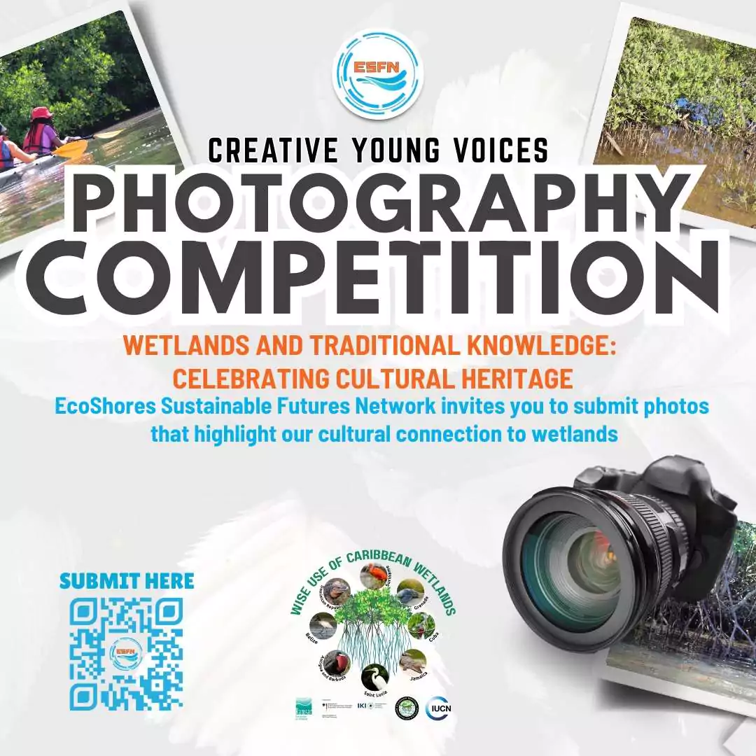 Youth Across Antigua and Barbuda Invited to Celebrate Wetlands Through National Creative Competition
