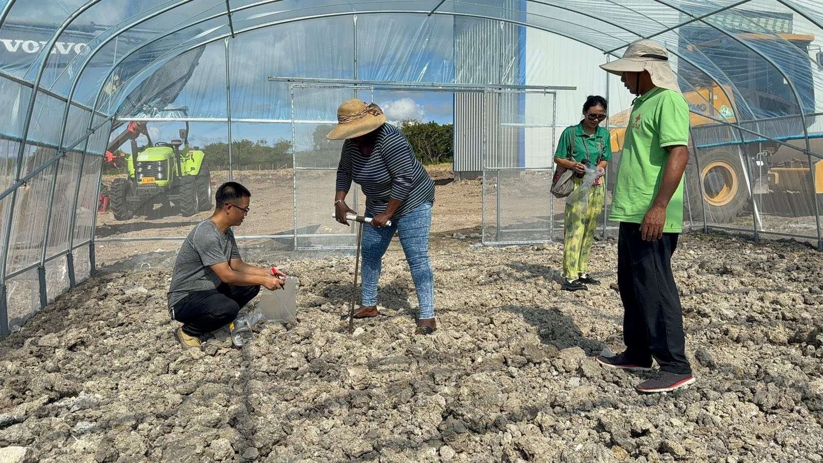 Pesticide-Free Farming Gets a Boost as Insect-Proof Nets Deliver Strong Results in Antigua and Barbuda 