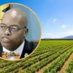 Cabinet Reaffirms Food Security Drive; 75 Acres of Land Earmarked for Youth and Women Farmers