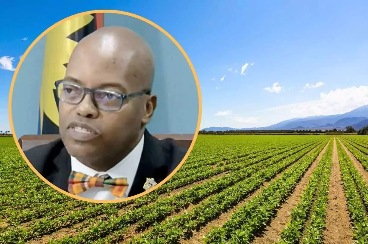 Cabinet Reaffirms Food Security Drive; 75 Acres of Land Earmarked for Youth and Women Farmers