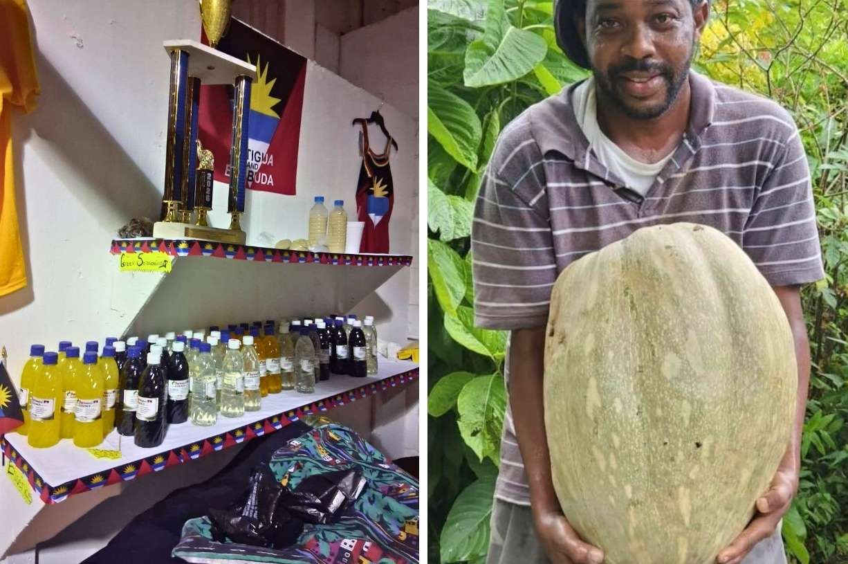 Antigua’s Twin I Payne Secures Back-to-Back Victory at Agrifest 2026 in St. Croix