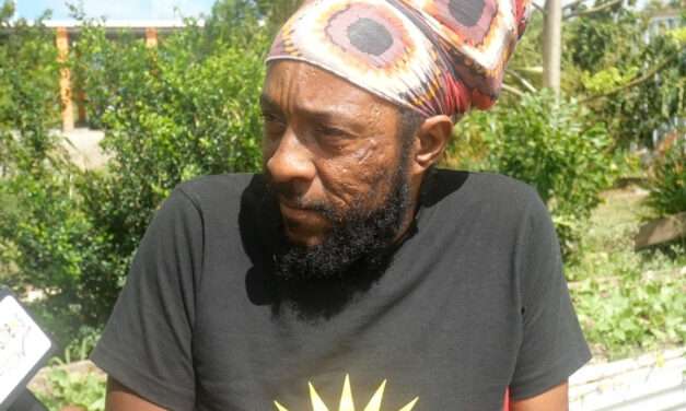 Warner Thanks Prime Minister Browne for Disability Inclusion Commitments, Award Nomination