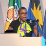 "Unlocking the woman factor" key to economic growth, Senate President tells EU assembly