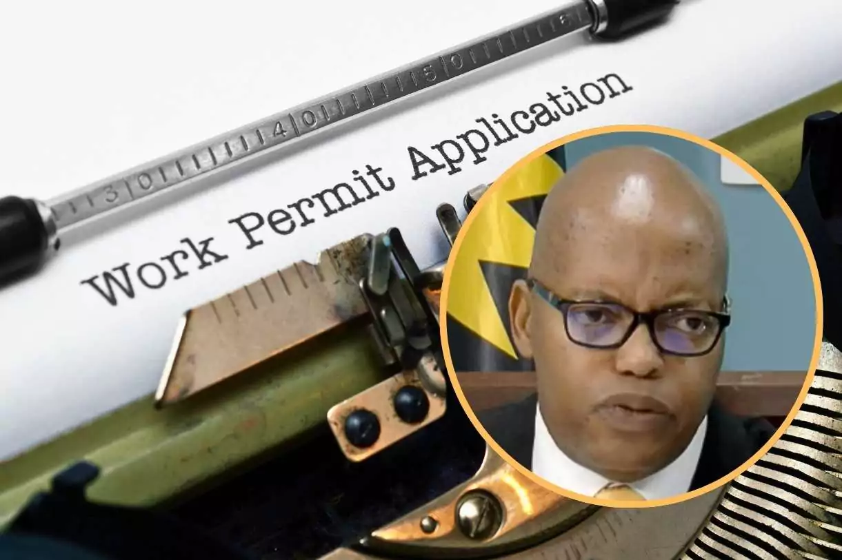 Cabinet Tightens Work Permit Oversight Amid Public Concern