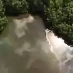 VIDEO: Oil Spill Concerns Raised at Cooks Landfill After Video Shows Possible Leakage into Mangroves