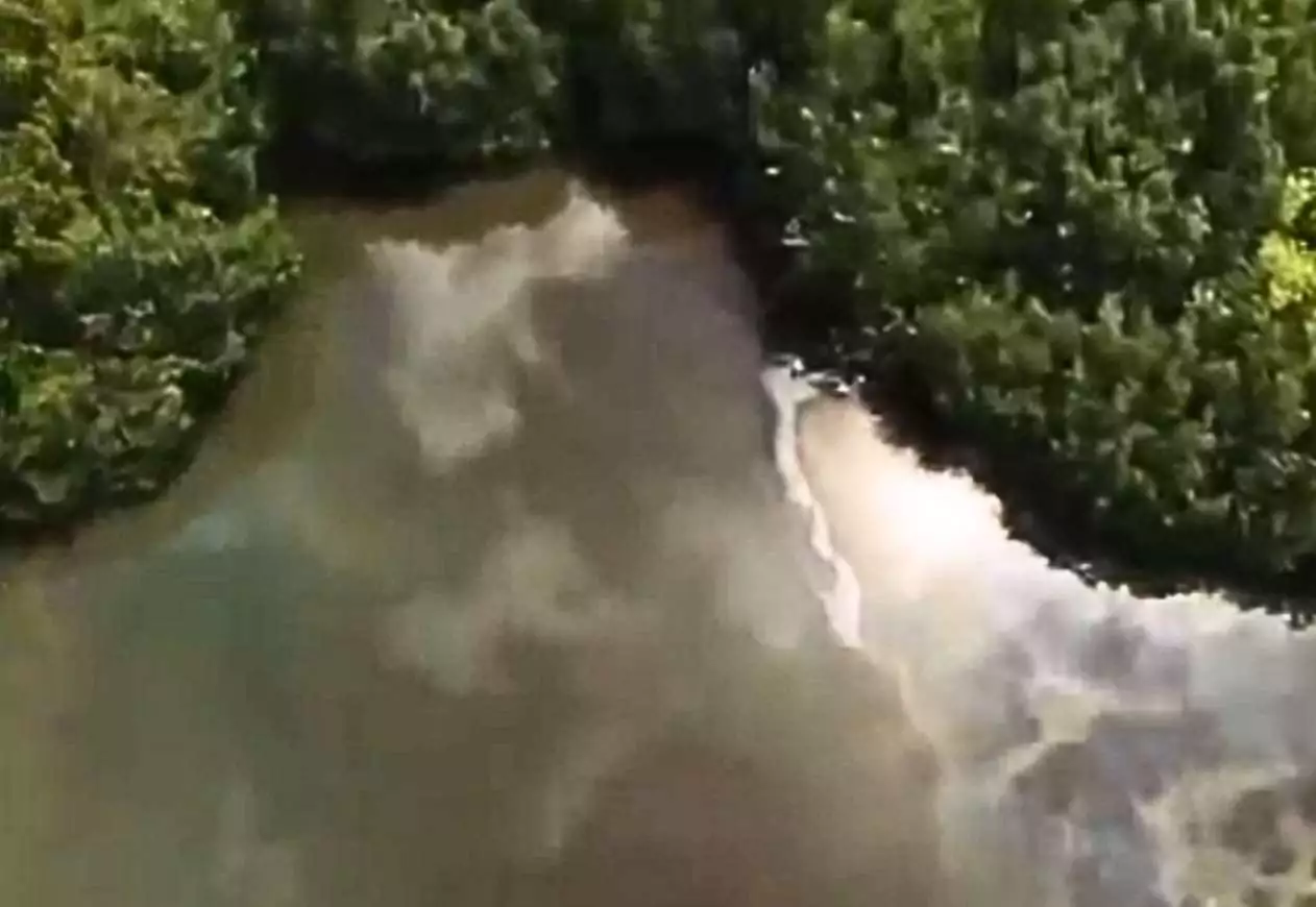 VIDEO: Oil Spill Concerns Raised at Cooks Landfill After Video Shows Possible Leakage into Mangroves