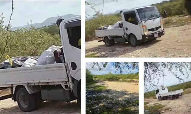 Secret Camera Catches Truck Illegally Dumping Garbage in Parham; Police Launch Hunt for Driver