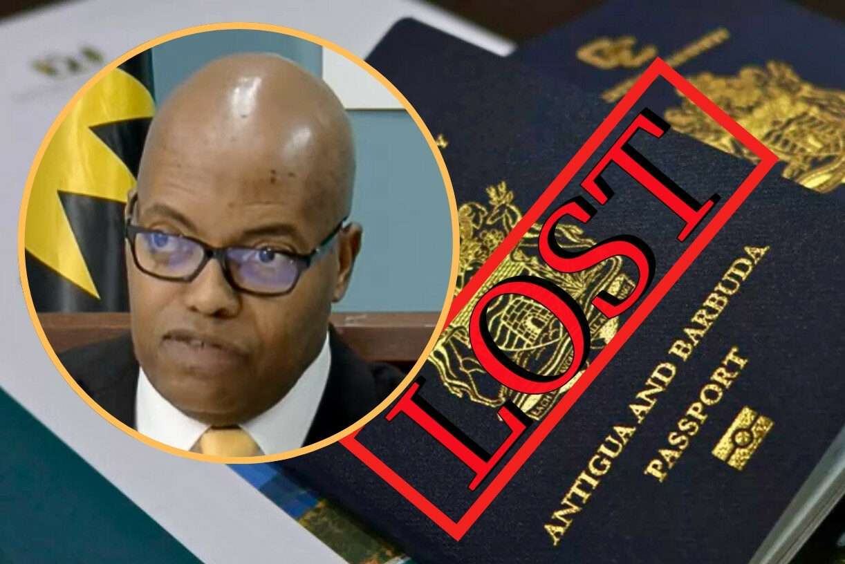 WATCH | Passport Crisis: 73 Already Lost in 2026 as Government Moves to Crack Down