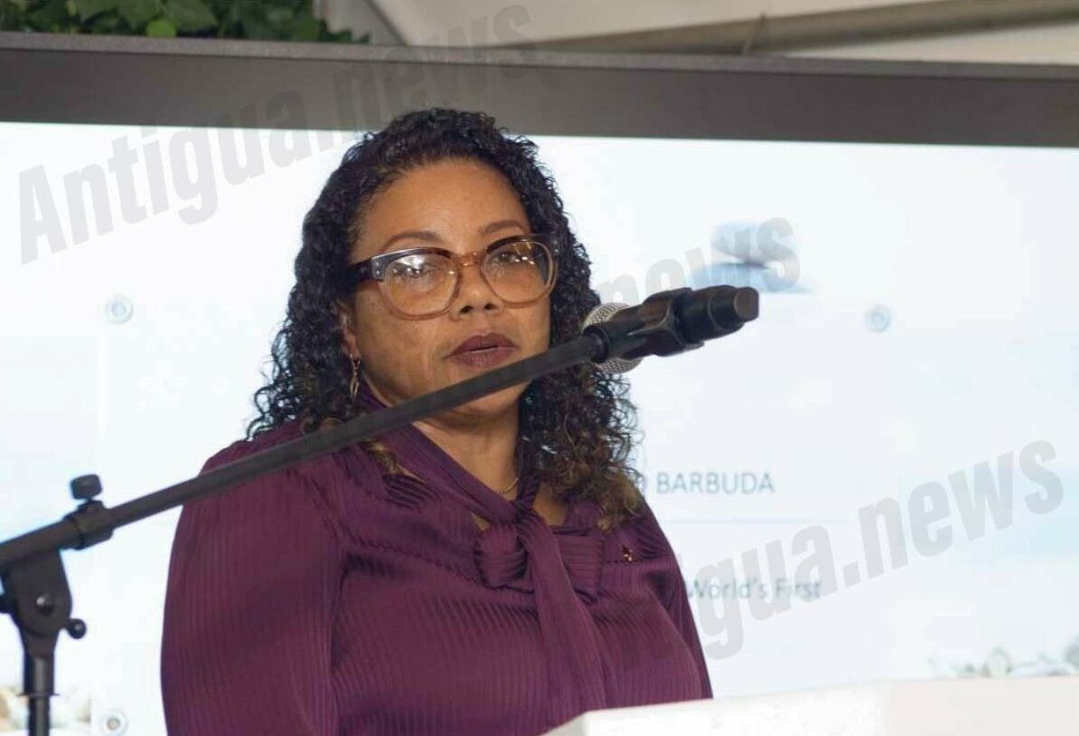 Fortescue Green Pioneer docks in Antigua as world-first ammonia vessel makes Caribbean port call