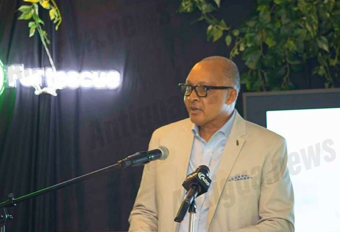 Fortescue Green Pioneer docks in Antigua as world-first ammonia vessel makes Caribbean port call