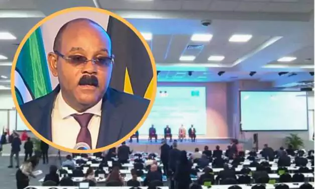 Haiti’s Crisis Requires Security First, Haitian-Led Democratic Restoration-PM Browne