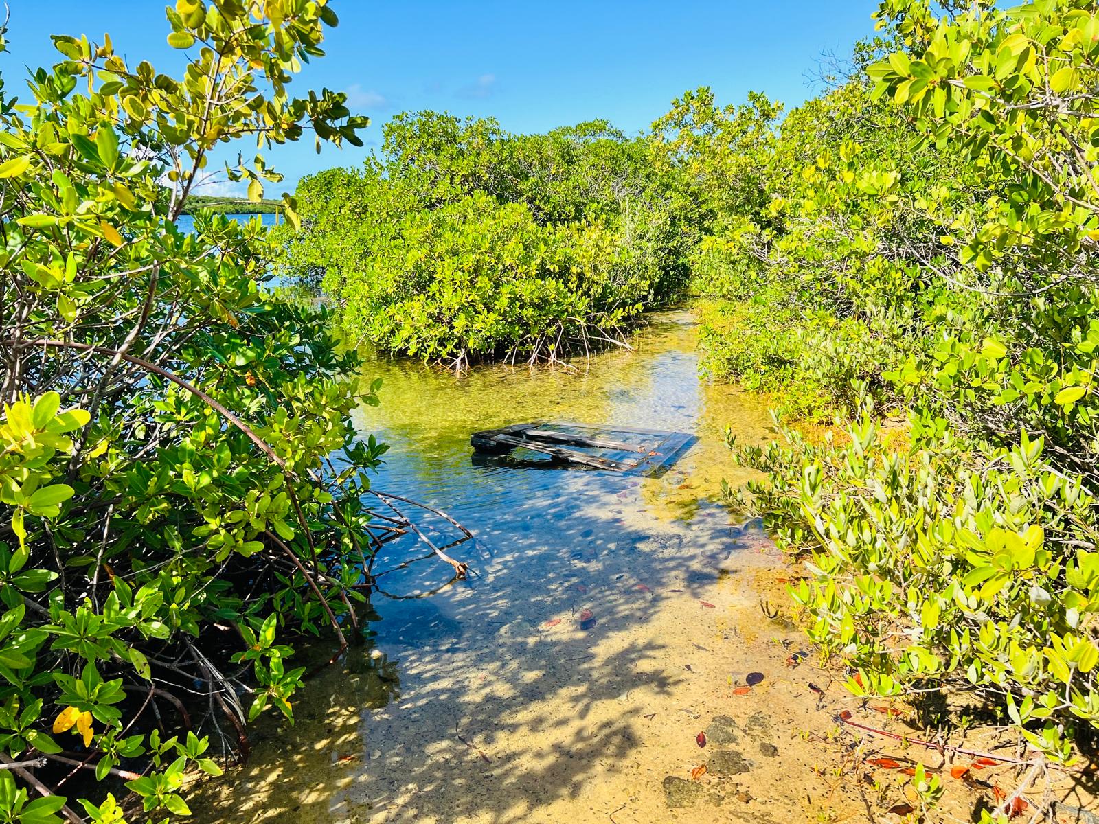IHO Nature Rangers Hold Community Consultations to Boost Conservation Efforts in NEMMA 