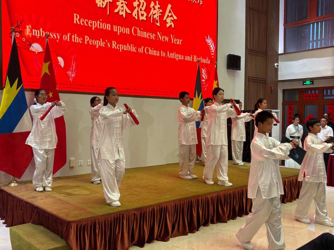 Chinese Embassy Celebrates Spring Festival with Cultural Showcase and Strong Diplomatic Presence