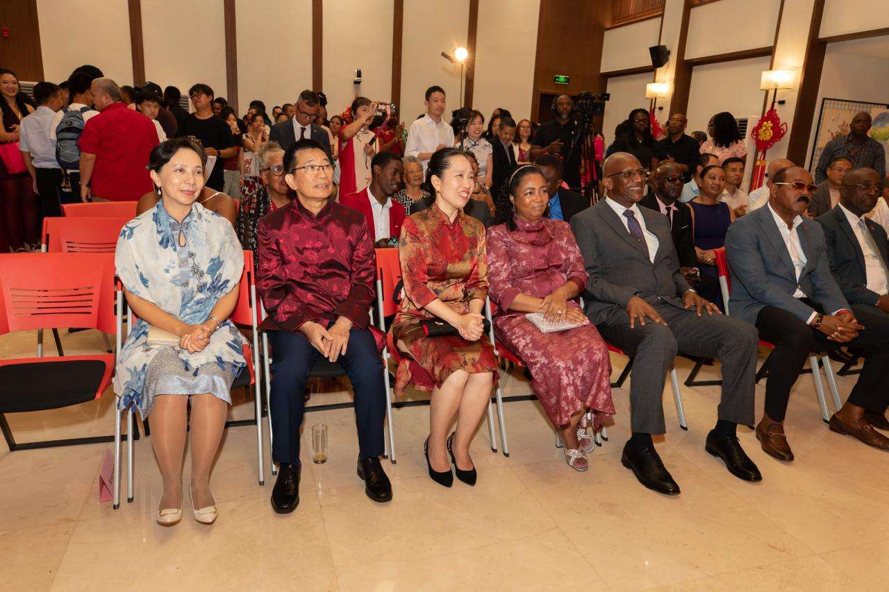 Chinese Embassy Celebrates Spring Festival with Cultural Showcase and Strong Diplomatic Presence