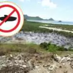 Residents Told not to Harvest or Eat Fish and Shellfish from Cove West of Cooks Landfill