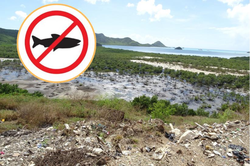 Residents Told not to Harvest or Eat Fish and Shellfish from Cove West of Cooks Landfill