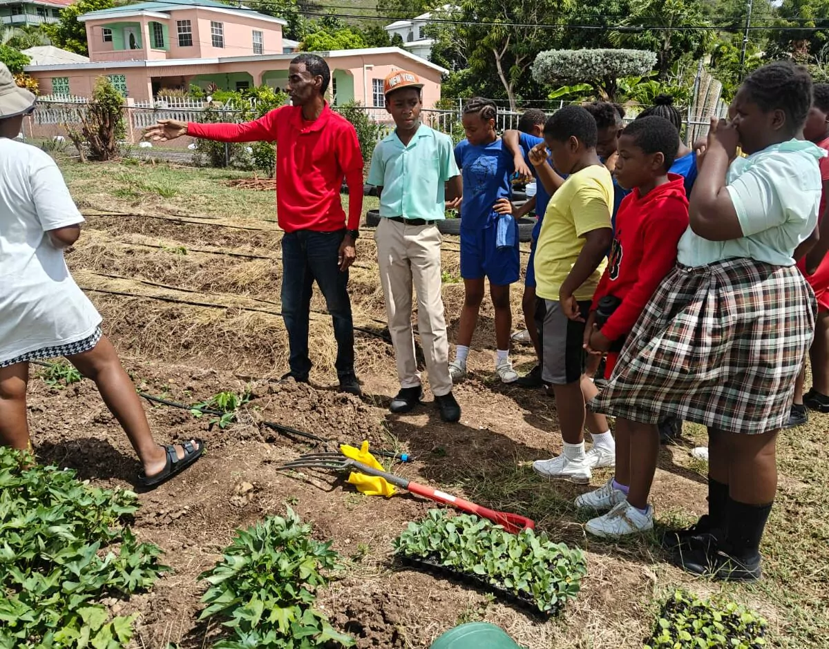 Drip Irrigation System Strengthens Agricultural Learning at Cobbs Cross Primary