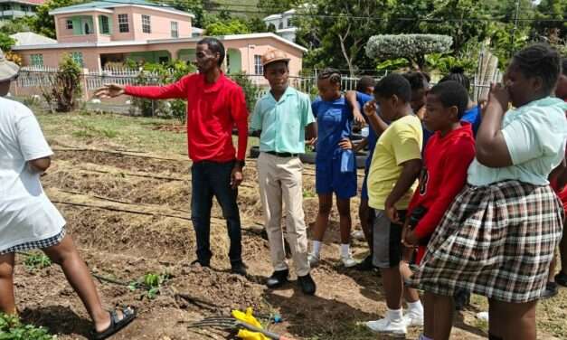 Drip Irrigation System Strengthens Agricultural Learning at Cobbs Cross Primary