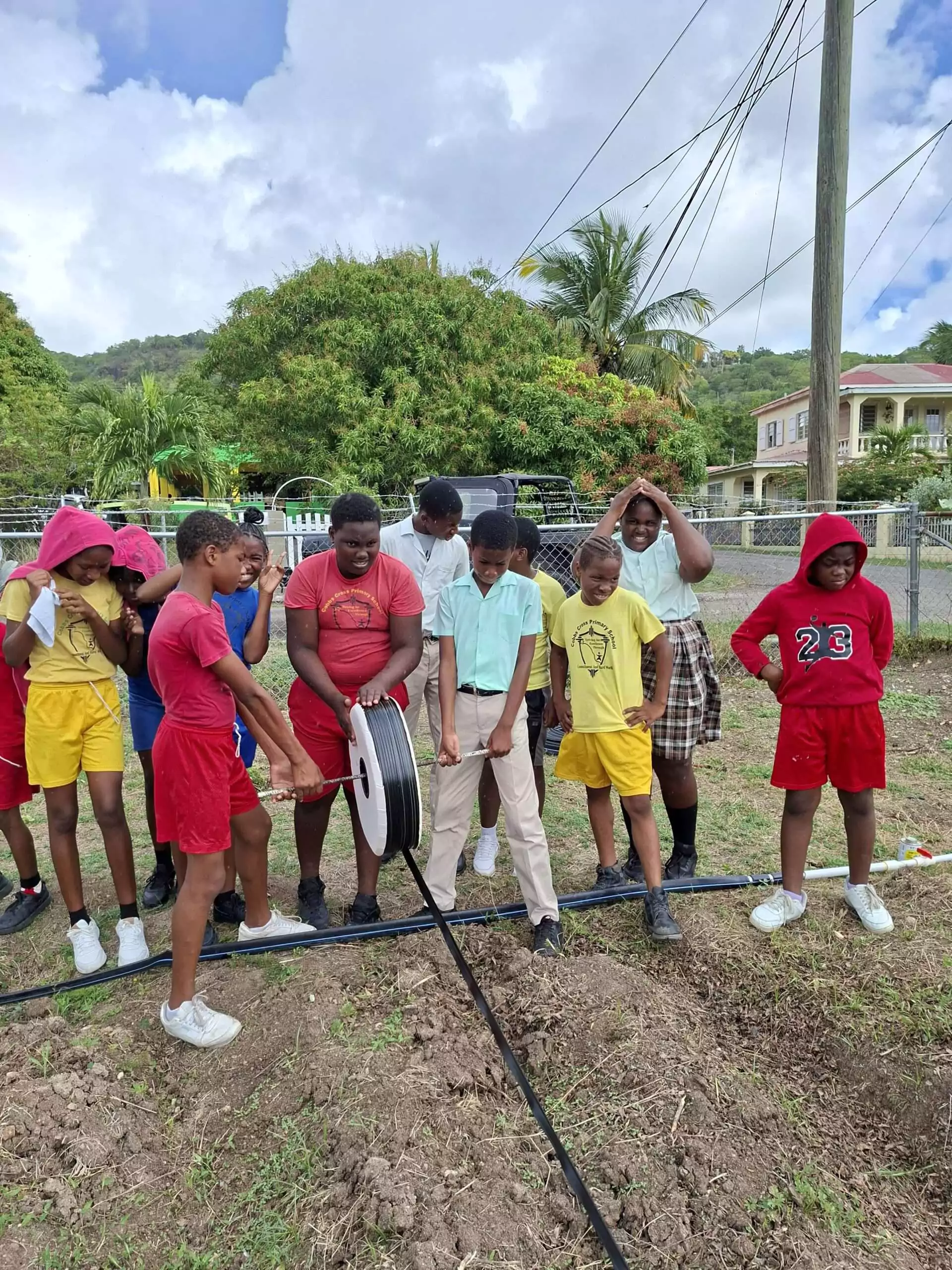 Drip Irrigation System Strengthens Agricultural Learning at Cobbs Cross Primary