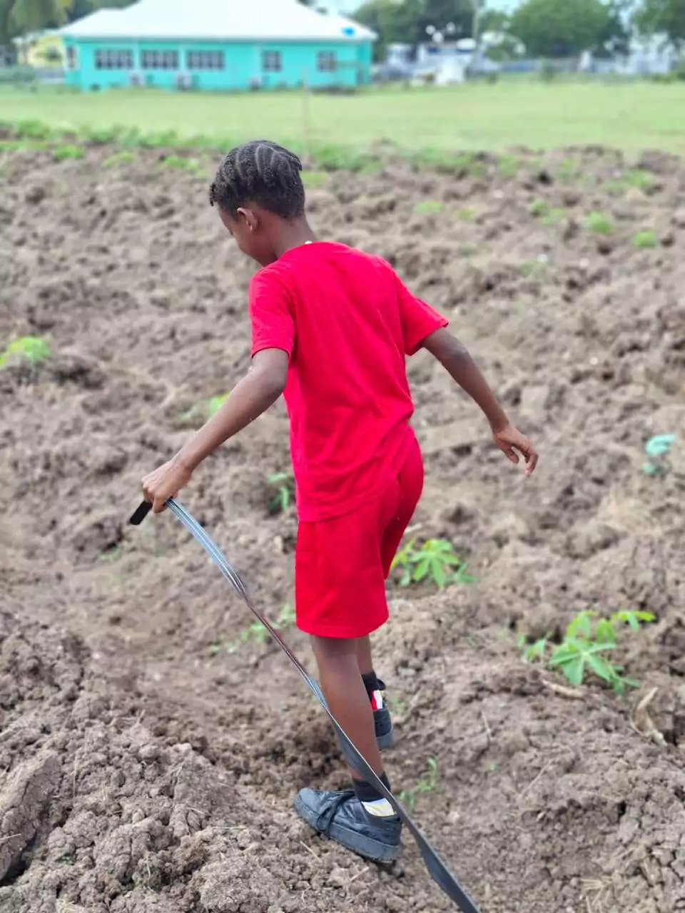 Drip Irrigation System Strengthens Agricultural Learning at Cobbs Cross Primary