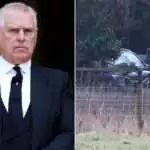 Former Prince Andrew's properties searched following arrest